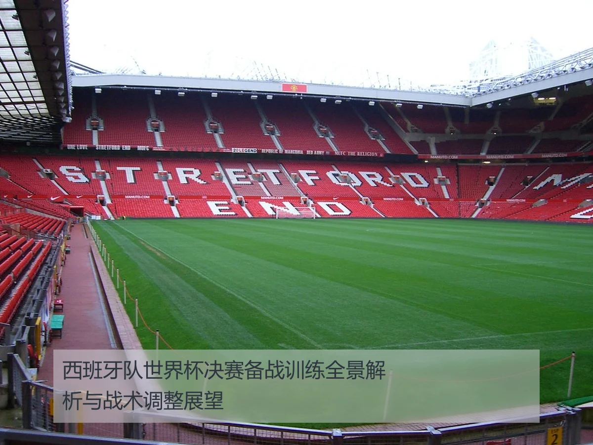 西班牙队世界杯决赛备战训练全景解析与战术调整展望